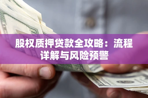 北京股权质押贷款全攻略：流程详解与风险预警