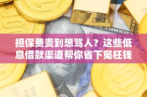 北京担保费贵到想骂人？这些低息借款渠道帮你省下冤枉钱