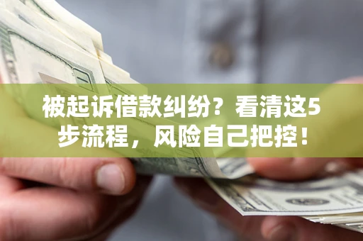 北京被起诉借款纠纷？看清这5步流程，风险自己把控！